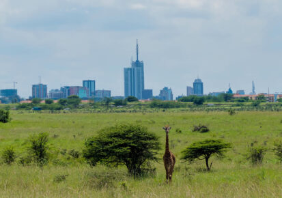 1 Day Nairobi Safari | Nairobi City Tour | Nairobi City