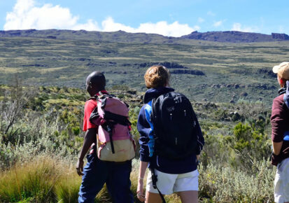 2 Days Pejeta Conservancy And Mount Kenya Safari