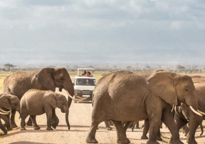 2 Days safari to Amboseli National Park