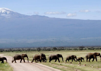 3 Day Amboseli and Tsavo West National Parks Safari from Nairobi