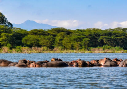 8 Days in Kenya and Tanzania-A classic wildlife safari